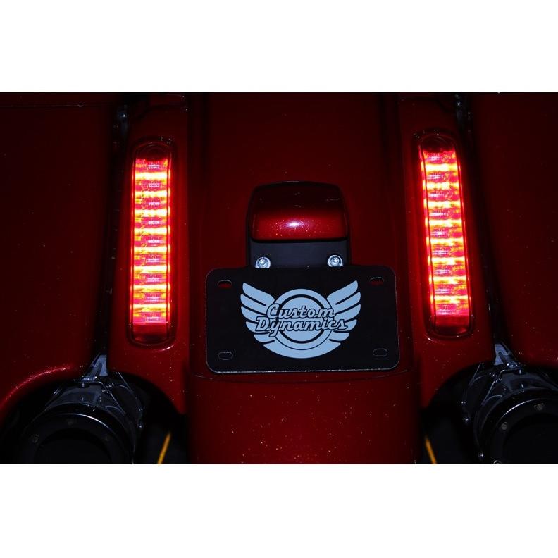 PROBEAM LEDライトパネル:2014〜22年FLHXSE、2018〜22年FLTRXSE、2014年FLHRSE/スモークレンズ