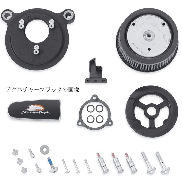 Harley Davidson（ハーレー・ダビッドソン） スクリーミンイーグル