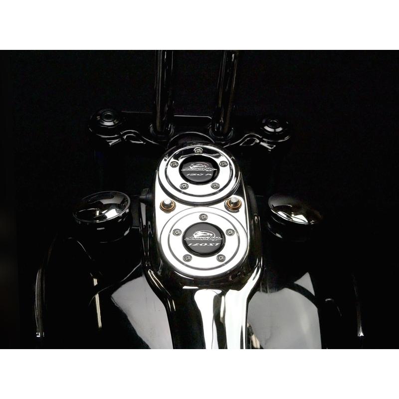 Harley Davidson 31ステート デュアルメーターブロックオフプレート 