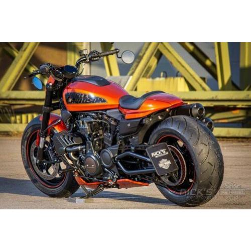 スポーツスターS ベルトガード:2021年以降RH1250S 下のみの画像