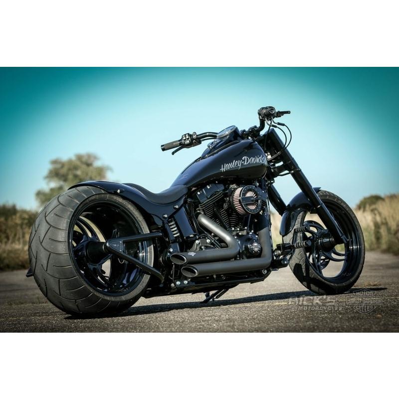 Harley Davidson（ハーレー・ダビッドソン） 300 スイングアームキット