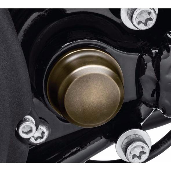 Harley Davidson（ハーレー・ダビッドソン） ブラス ピボットボルト 