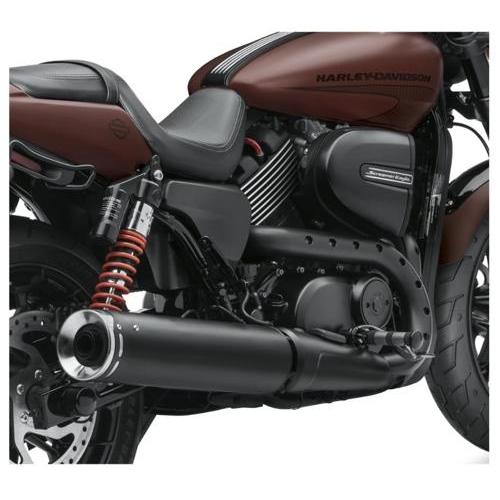 Harley Davidson（ハーレー・ダビッドソン） スクリーミンイーグル