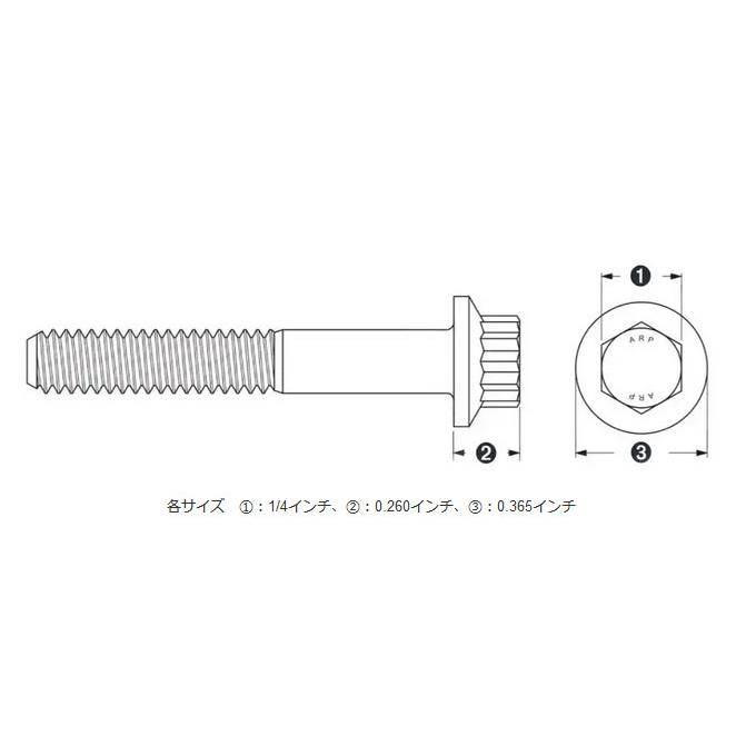 Harley Davidson（ハーレー・ダビッドソン） Stainless 12pointボルト