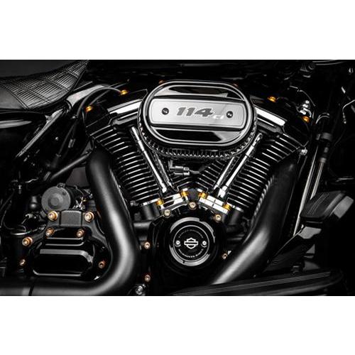 Harley Davidson（ハーレー・ダビッドソン） CHACHOS ビレットエンジン