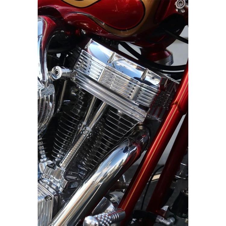 Harley Davidson（ハーレー・ダビッドソン） ネオフュージョン