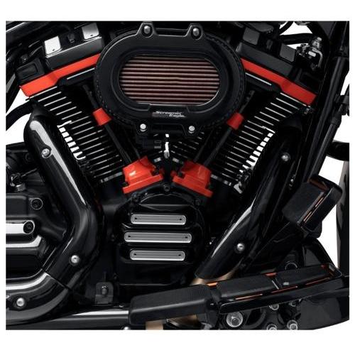Harley Davidson（ハーレー・ダビッドソン） エンジンアクセントキット