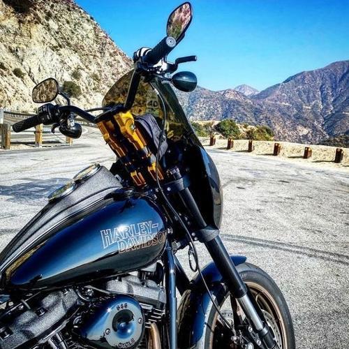 Harley Davidson 1-1/8インチ ADJUSTABLE ライザー 高さ 8インチ