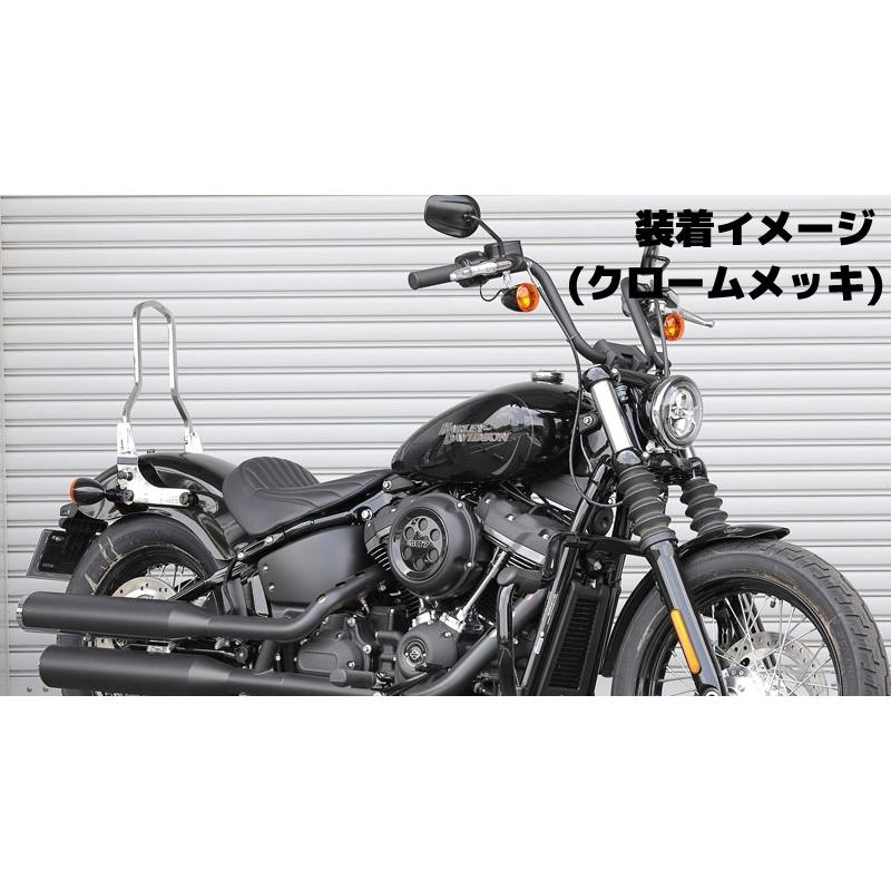 Harley Davidson（ハーレー・ダビッドソン） シーシーバー