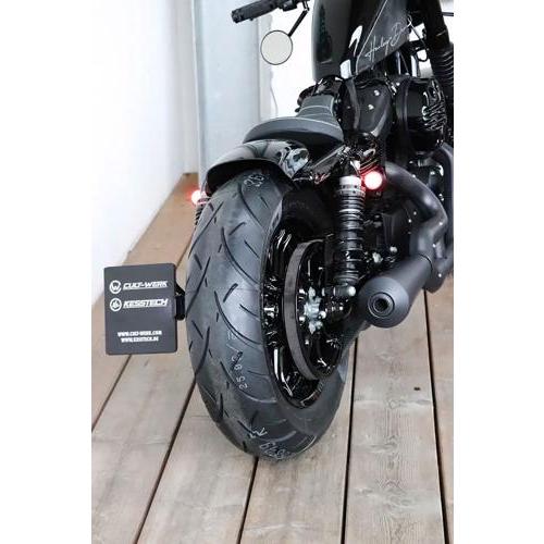 Harley Davidson（ハーレー・ダビッドソン） LOW STYLE リアフェンダー
