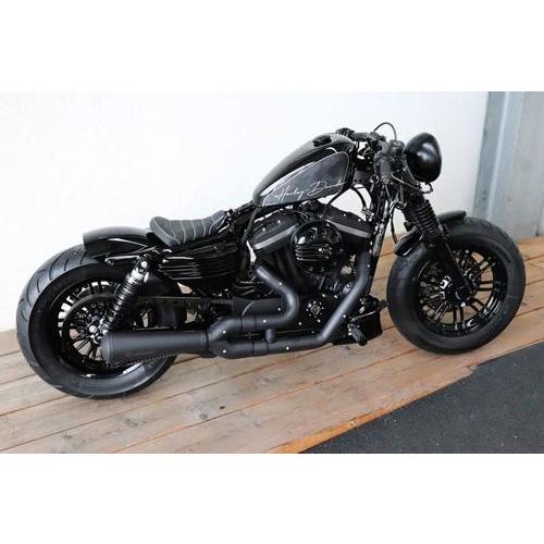 ハーレーダビットソン　スポーツスター　リアフェンダー Harley Davidson（ハーレー・ダビッドソン） LOW STYLE リアフェンダー