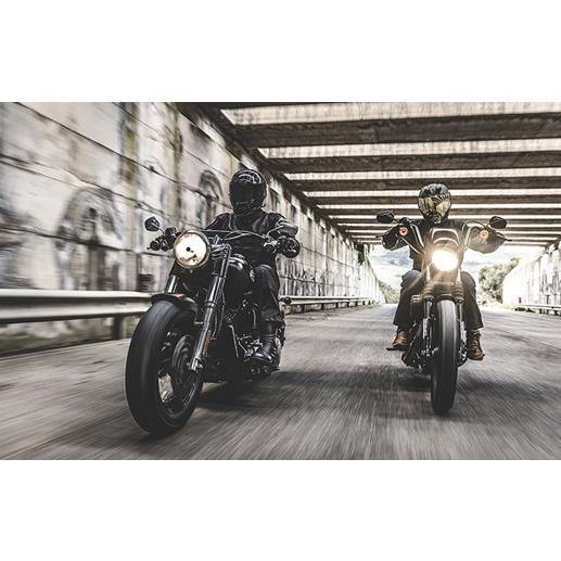 Harley Davidson（ハーレー・ダビッドソン） METZELER Cruisetec 180