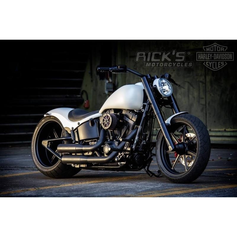 Harley Davidson（ハーレー・ダビッドソン） SEVEN SINS ホイール（1