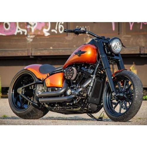 Harley Davidson（ハーレー・ダビッドソン） スイングアームキット