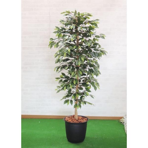 安い 店 ベンジャミンバイン 180cm 鉢植え インテリア グリーン 造花 観葉植物 室内 おしゃれ 大型 植栽 装飾 1 8m Abb18 360 造花観葉植物専門店ビワールデコ 通販 Yahoo ショッピング 公式 オンライン販売 Empirefeeds Co Ke
