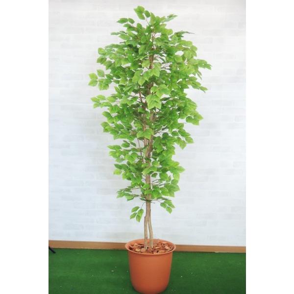 大人も着やすいシンプルファッション ブナの木 150cm 造花 インテリア 観葉植物 おしゃれ 大型 グリーン プラント 人工 鉢付き 1 5m Wantannas Go Id