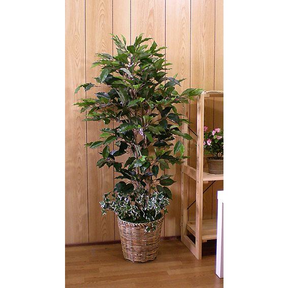 ベンジャミン 110cm (インテリア グリーン 造花 フェイク 観葉植物 室内 おしゃれ 装飾 植栽 飾り 小型)｜ambix