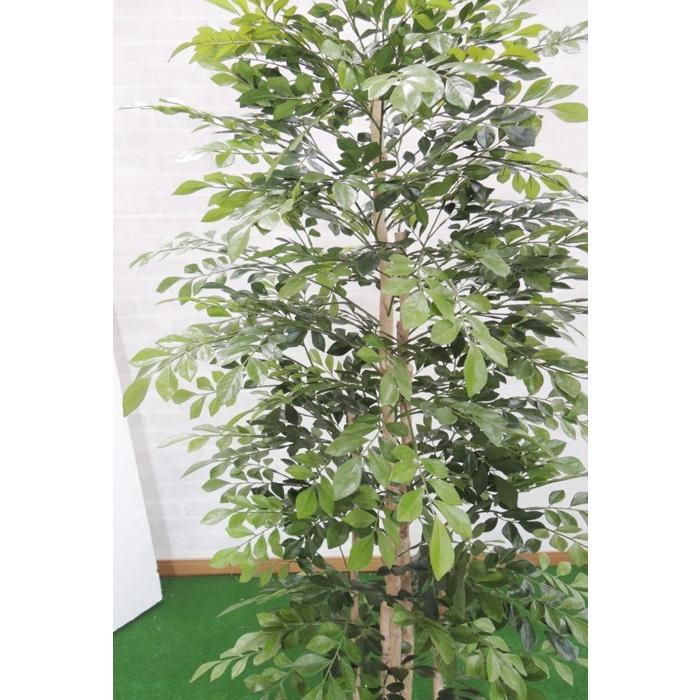 シマトネリコ 150cm （フェイクグリーン リアル 店舗 中型 人工