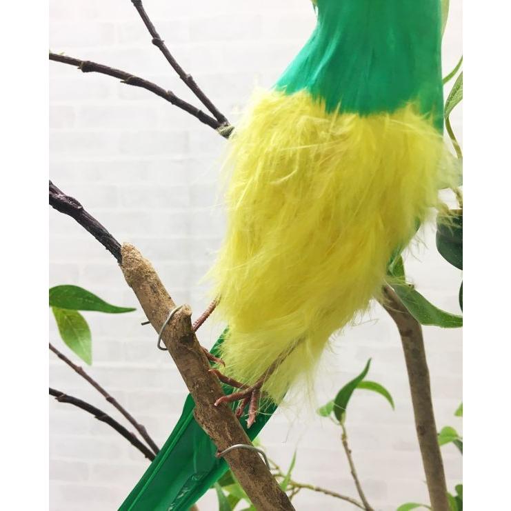 オウム Sサイズ バード 鳥 飾り ディスプレイ用品 装飾品 模型 オブジェ 南国 カラフル おしゃれ カフェ レストラン 店舗装飾 Am0101s 造花観葉植物専門店ビワールデコ 通販 Yahoo ショッピング