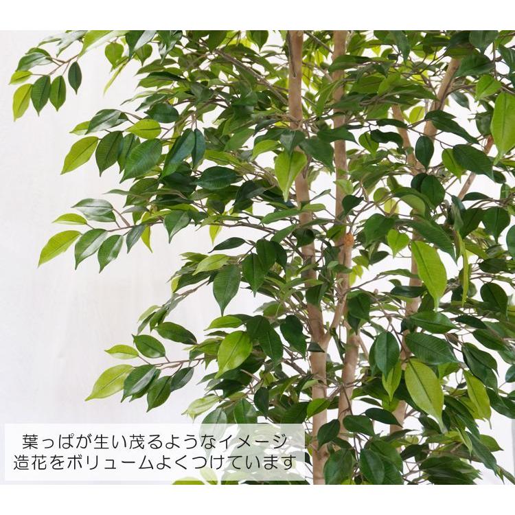 ナチュラル ベンジャミン 上広がり バージョン 200cm (鉢植え 造花 人工 観葉植物 室内 おしゃれ 大型 インテリア グリーン 2m)_4