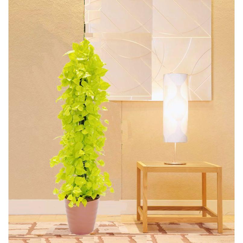 ゴールデン ポトス タワー 150cm (フェイクグリーン リアル 店舗