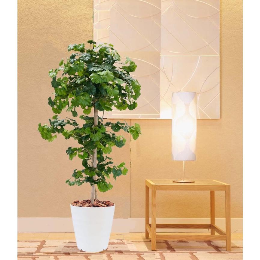 イチョウ ツリー グリーン 150cm (造花 人工観葉植物 夏 緑 和風 イチョウ ツリー グリーン 150cm (造花 人工観葉植物 夏 緑 和風