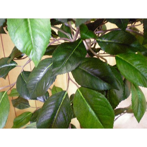 椿の木 (造花 人工観葉植物 カメリア ツバキ 100cm おしゃれ 室内 装飾 小型 フェイクグリーン)の画像