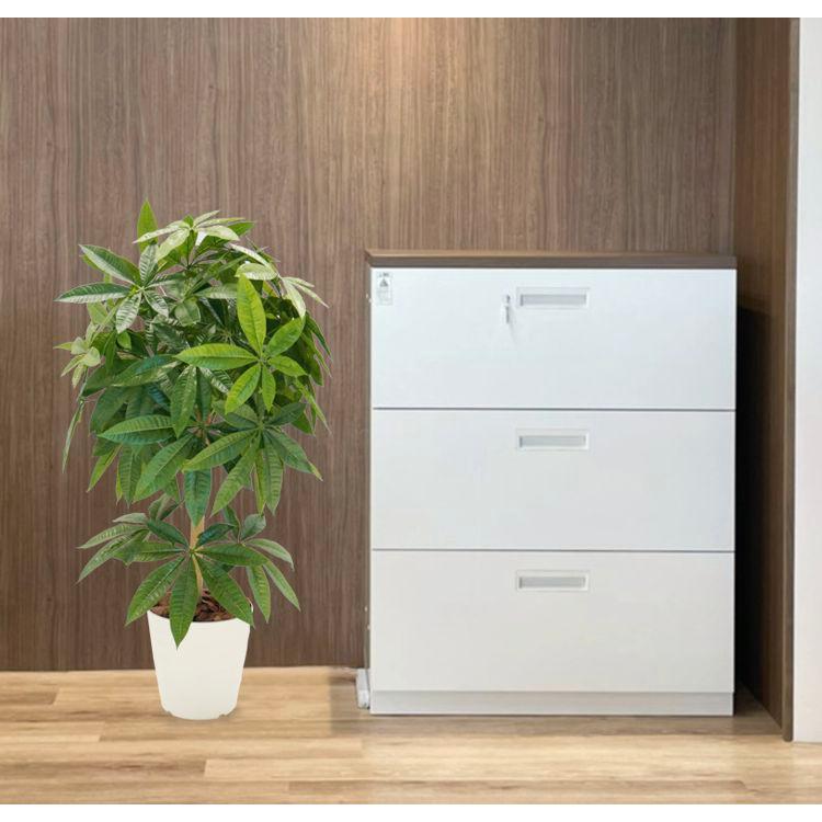 パキラ 100cm 鉢植え 観葉植物 造花 インテリア グリーン フェイク 室内 おしゃれ 装飾 植栽 Am0407 3 造花観葉植物専門店ビワールデコ 通販 Yahoo ショッピング