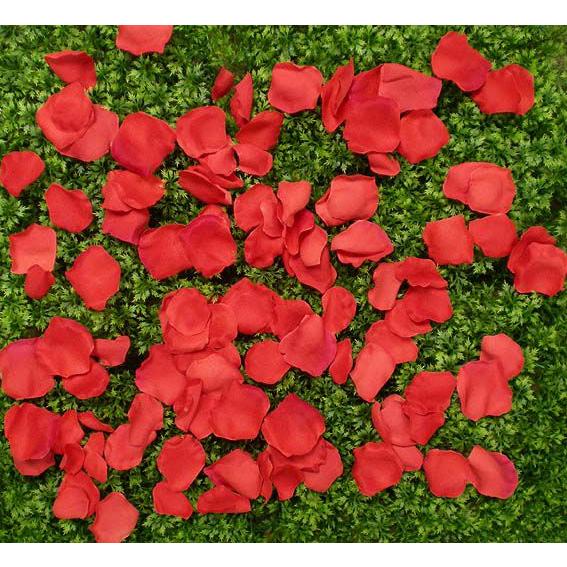 バラの花びら レッド 造花 フラワーシャワー 結婚式 ローズペタル インテリア 3パック入り 1袋 約100枚入り 7013 Am0717r 造花観葉植物専門店ビワールデコ 通販 Yahoo ショッピング