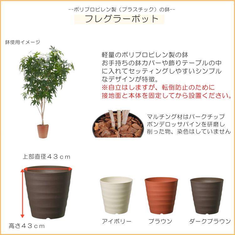 パキラ 280cm (フェイクグリーン 特大 造花 カポック ツピタンサス