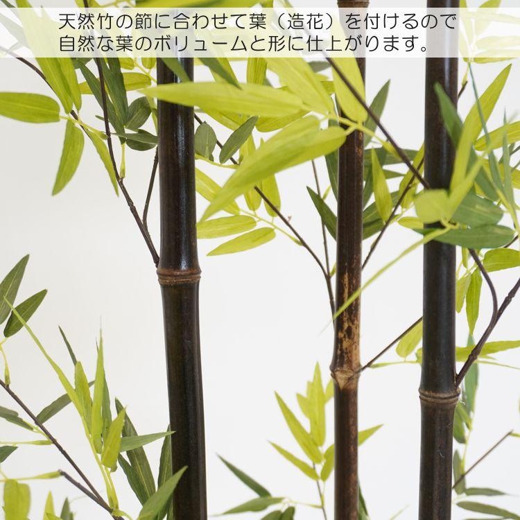 黒竹 150cm3本立 (人工竹 造花 インテリア 観葉植物 木工ベース