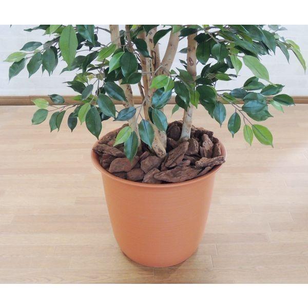 ツリー鉢 12号 鉢 プランター 鉢カバー Am 造花観葉植物専門店ビワールデコ 通販 Yahoo ショッピング