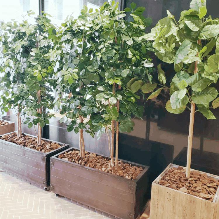 バークチップm 約100リットル ウッドチップ ガーデニング用品 マルチング材 インテリア 庭 園芸用土 Am100l Chip 造花観葉植物専門店ビワールデコ 通販 Yahoo ショッピング