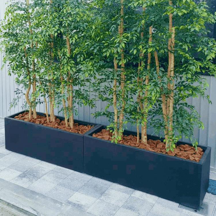 バークチップm 約100リットル ウッドチップ ガーデニング用品 マルチング材 インテリア 庭 園芸用土 Am100l Chip 造花観葉植物専門店ビワールデコ 通販 Yahoo ショッピング