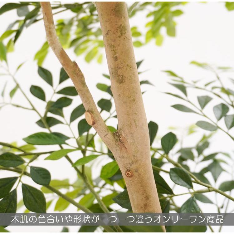 シマトネリコ の木 2本株立 装飾付180cm ( フェイクグリーン 造花