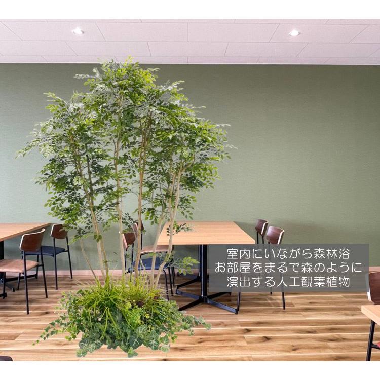 シマトネリコ 200cm 2分割式 (人工 観葉植物 造花 インテリア 2m