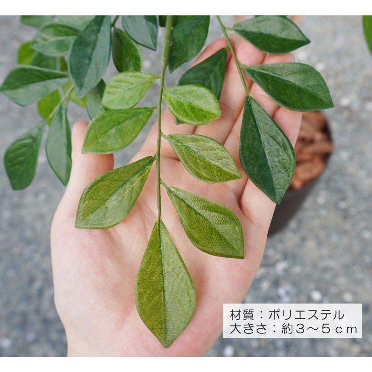 傘状に広がる シマトネリコの木 高さ230cm (フェイク グリーン 大型