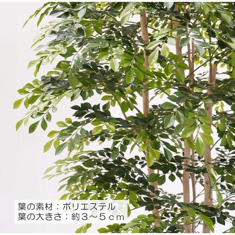 シマトネリコ の木 230cm 3本株立 (造花 観葉植物 インテリア 人工