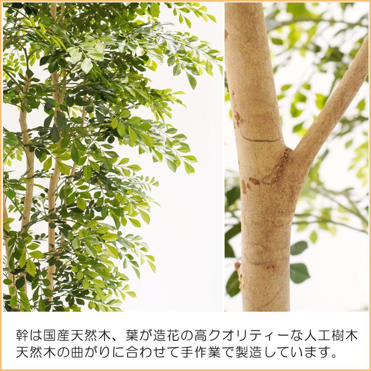 シマトネリコ の木 230cm 3本株立 (造花 観葉植物 インテリア 人工