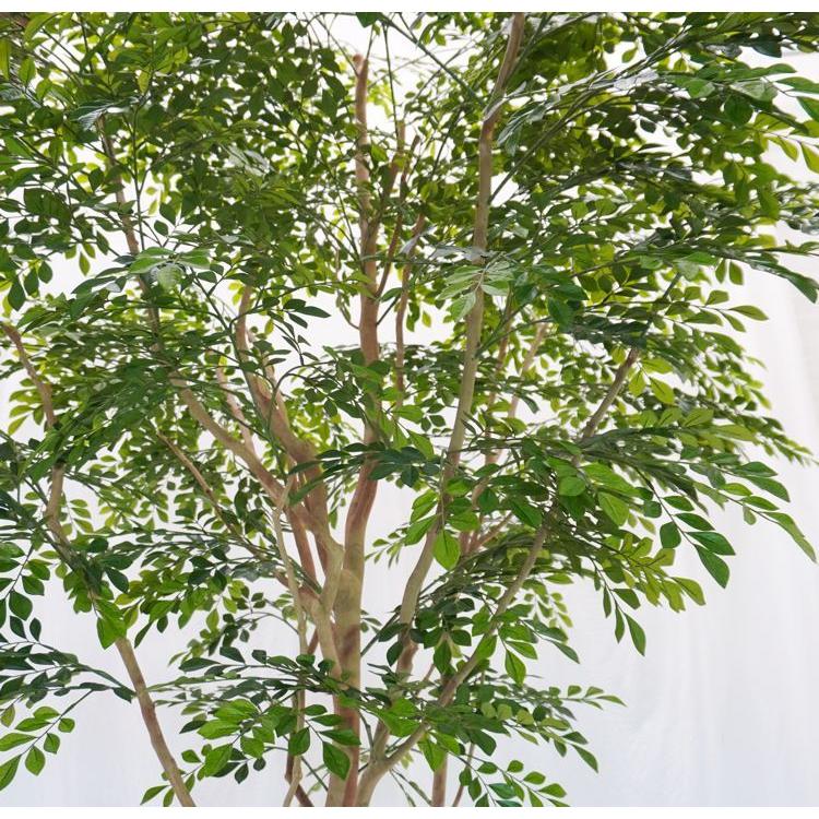 大きい シマトネリコ の木 高さ230cm (インテリア フェイク グリーン