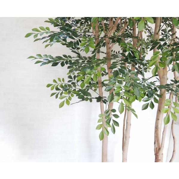 トネリコ 大型サイズ 幅広めの木 植栽付き 高さ300cm 大きい 造花 インテリア 人工 観葉植物 植栽 鉢付き 室内 ディスプレイ 造作 オブジェ 3m Am104 300 150 造花観葉植物専門店ビワールデコ 通販 Yahoo ショッピング