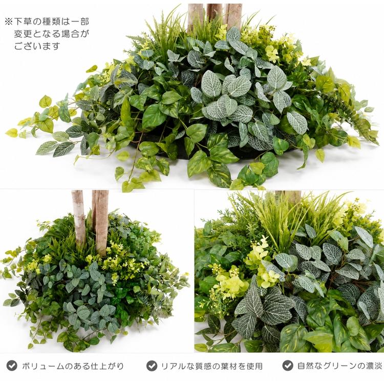 シマトネリコ 大型サイズ 大きな木 植栽付き 高さ300cm (組立式) (造花
