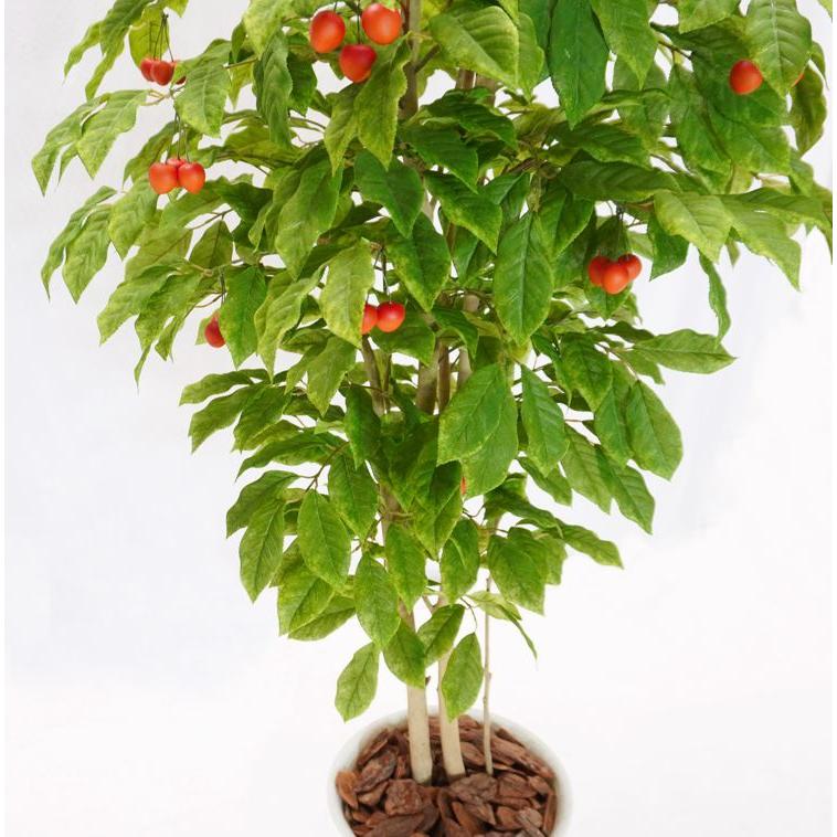 さくらんぼ の木 180cm (チェリー 造花 インテリア グリーン 観葉植物