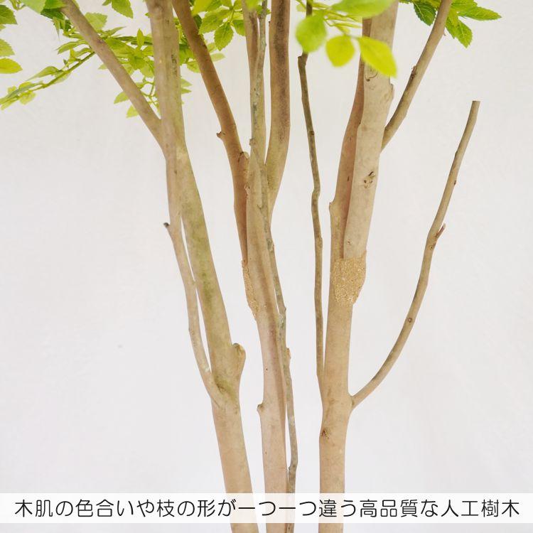 丸い シマトネリコの木 明るい葉 150cm (フェイクグリーン 造花 丸い シマトネリコの木 明るい葉 150cm (フェイクグリーン 造花