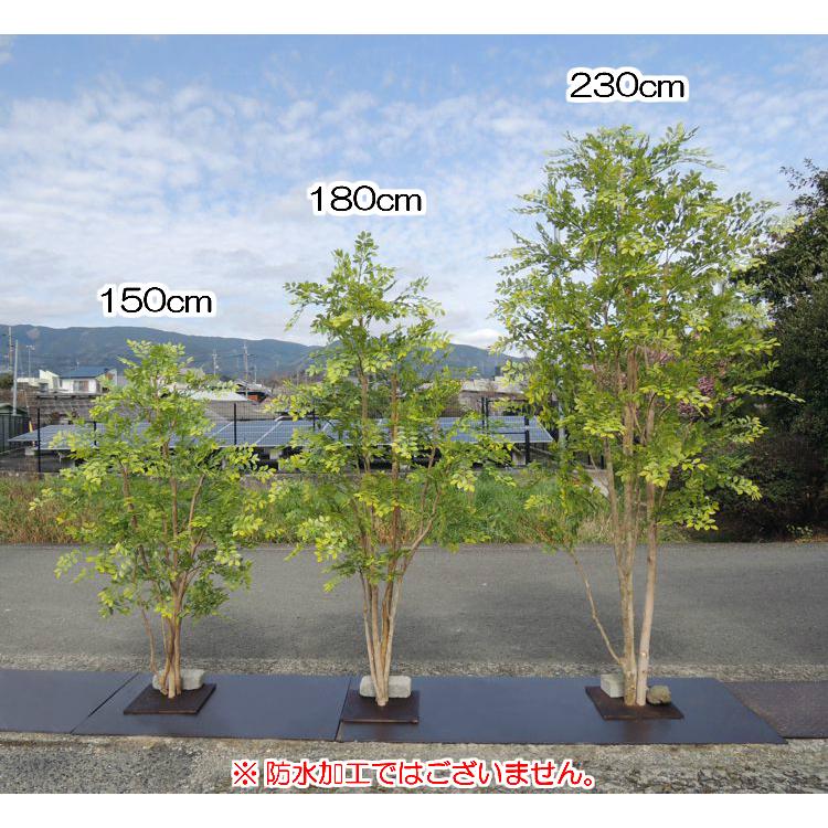 シマトネリコ の木 150cm (明るめの葉 造花 インテリア フェイク