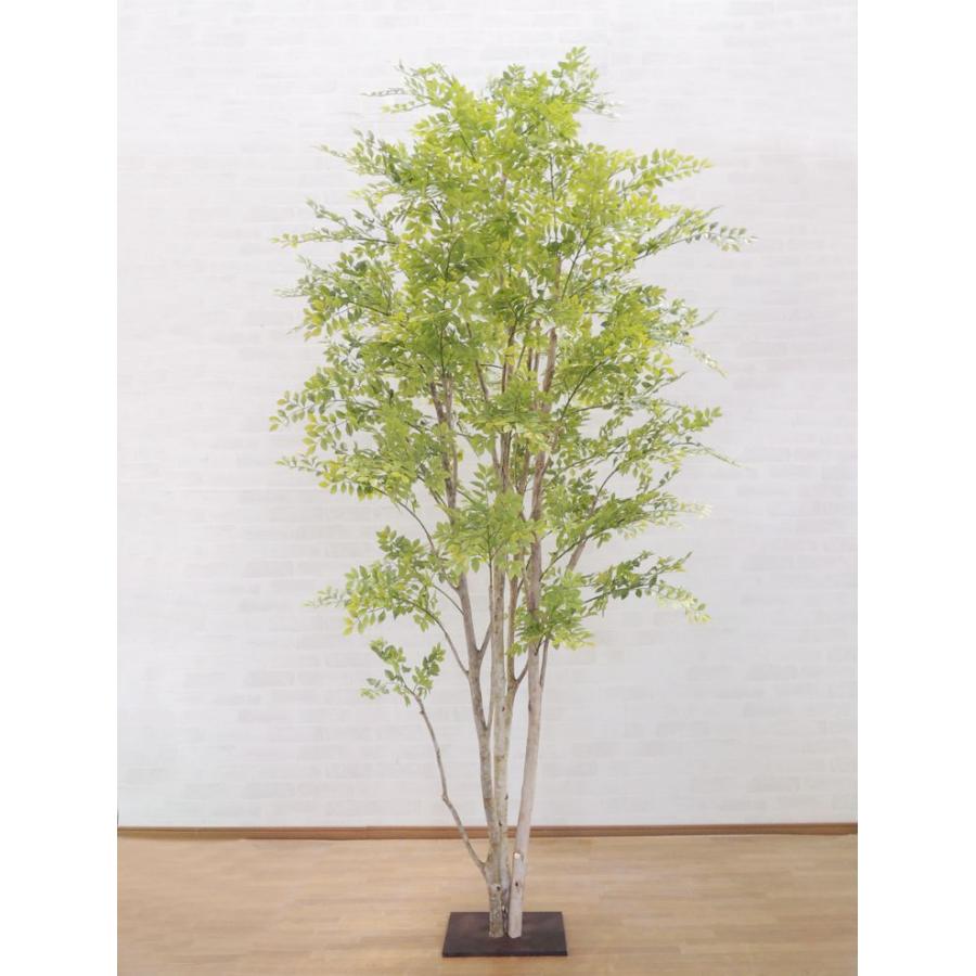 トネリコの木 230cm 明るめの葉 造花 インテリア フェイクグリーン おしゃれ 室内 人工 観葉植物 ゴールデンリーフ 装飾 Am1214 230c 造花観葉植物専門店ビワールデコ 通販 Yahoo ショッピング