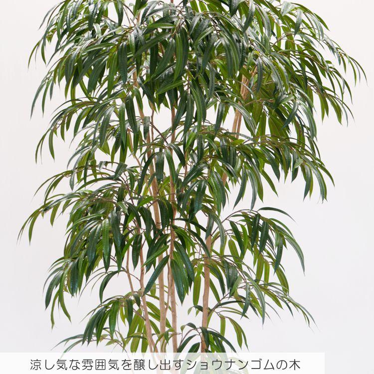 ショウナンゴムの木 250cm (フィカスイレグラリス 造花 インテリア