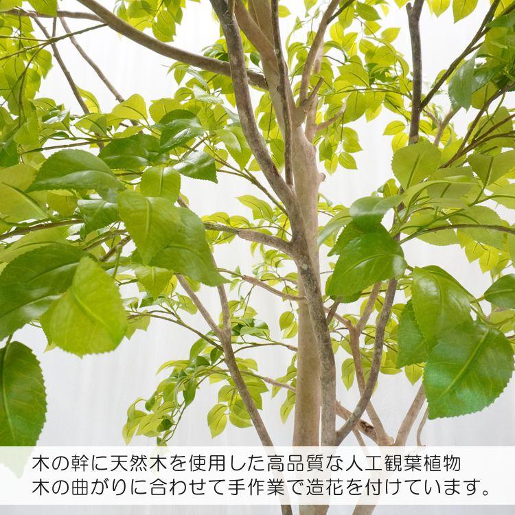 片流れの木 ナツツバキ 250cm（フェイクグリーン 椿 シャラノキ 造花
