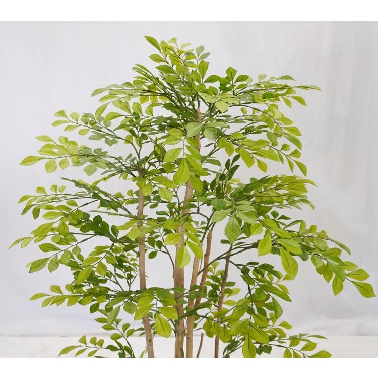 若葉色 トネリコ 100cm (造花 人工観葉植物 和風 ガーデニング 造園 庭園 坪庭 インテリア おしゃれ 室内 小型 装飾　1ｍ)_3