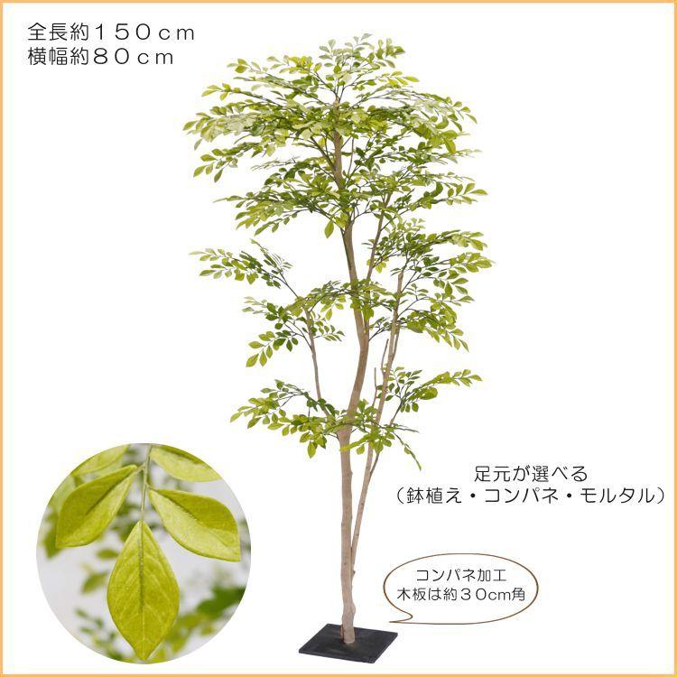 シマトネリコ　約150cm 若葉色 シマトネリコ 150cm (造花 人工観葉植物 モクセイ科 和風